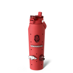 Bottle Buddy 32oz | Arkansas Razorbacks | Skin + Budz Bundle