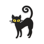 Budz | Black Cat